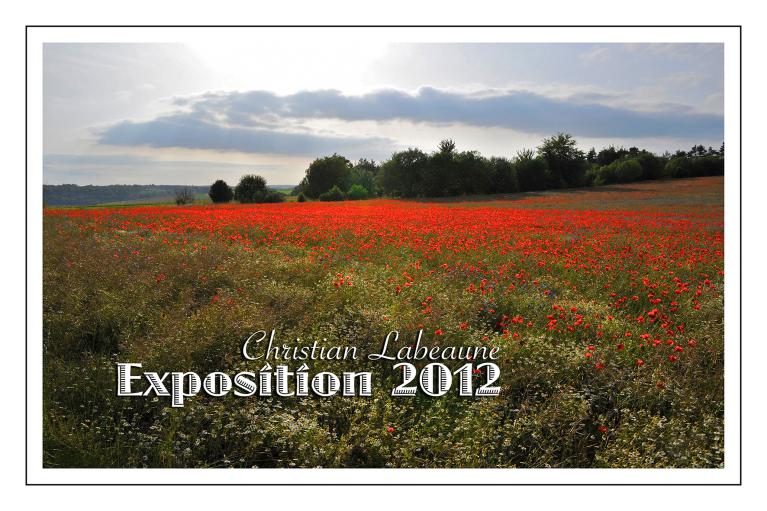 EXPOSITION 2012
